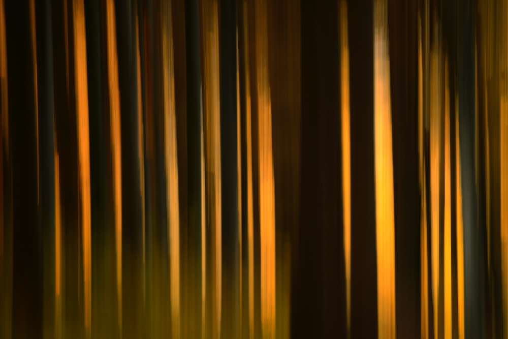 7. Platz Robert Seitz